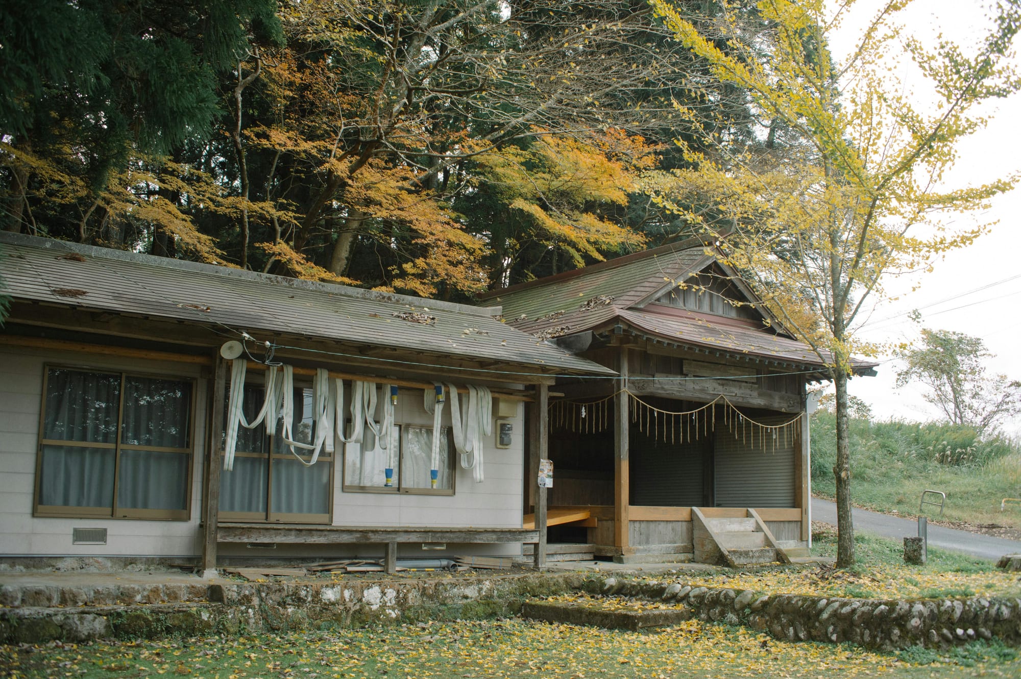 Japan's Morning Stretch: Discovering the Benefits of Radio Taiso